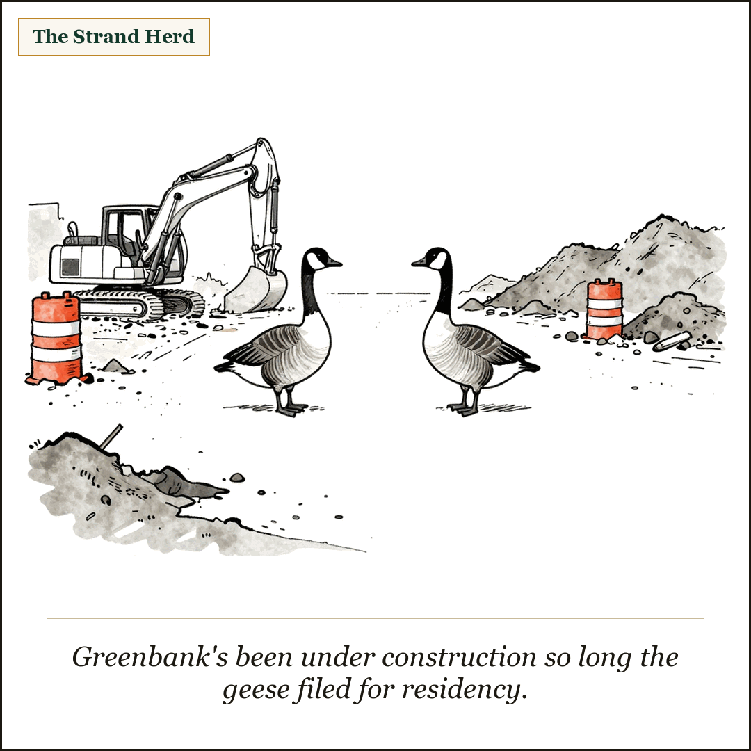 Two Canada geese stand in the middle of a torn-up Greenbank road construction site — a parked excavator and orange traffic barrels and piles of dirt around them. Caption: Greenbank's been under construction so long the geese filed for residency.