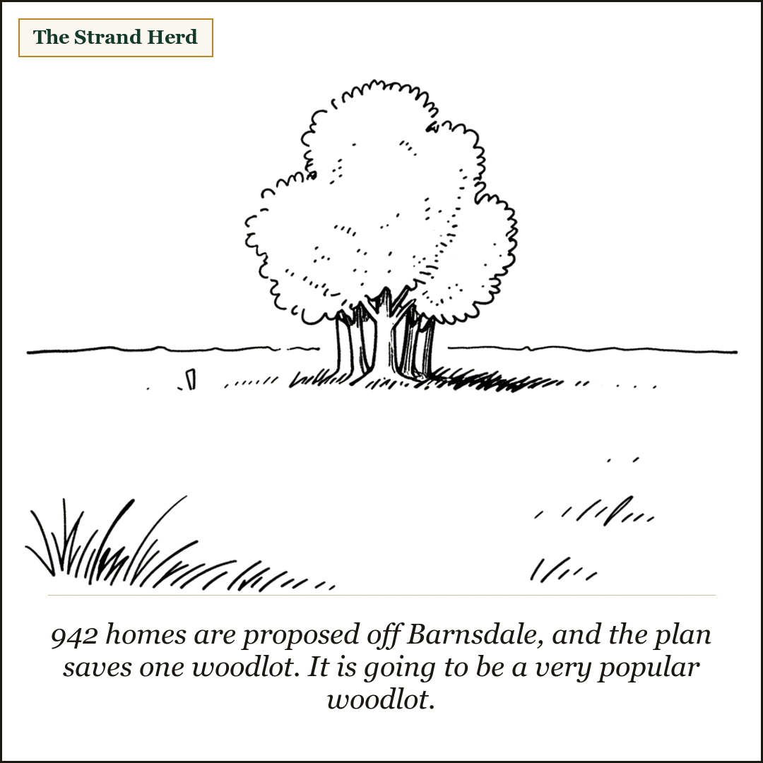 A single small stand of trees stands alone in a wide, flat, empty field, with a survey stake in the grass nearby.