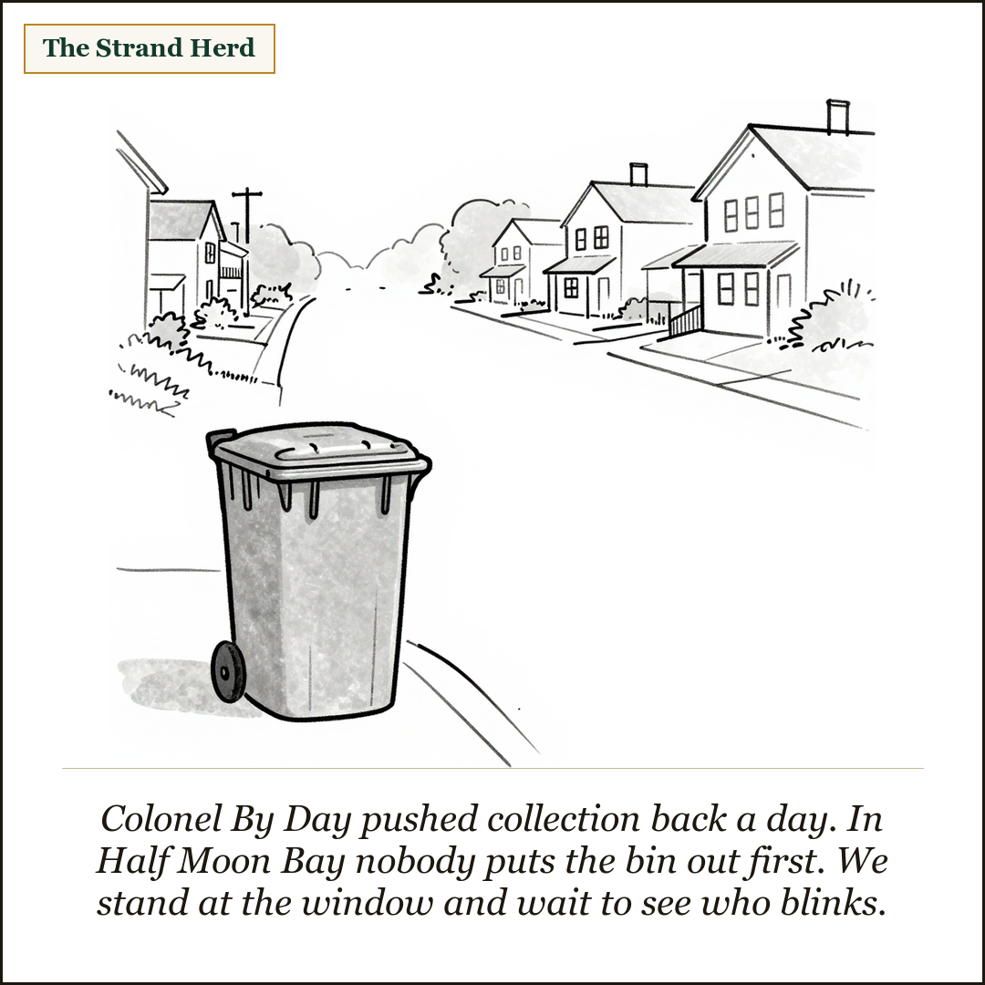 A single wheeled garbage bin standing alone at the curb of an empty Barrhaven street of houses at dawn.