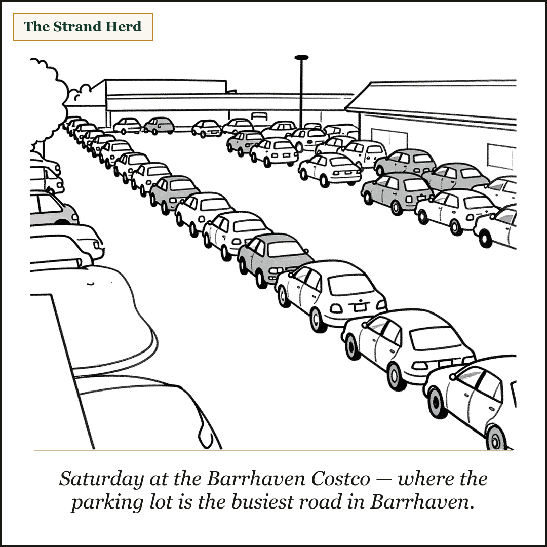 A long line of cars sits bumper to bumper waiting to get into a big-box store parking lot crammed full of parked cars. Caption: Saturday at the Barrhaven Costco — where the parking lot is the busiest road in Barrhaven.