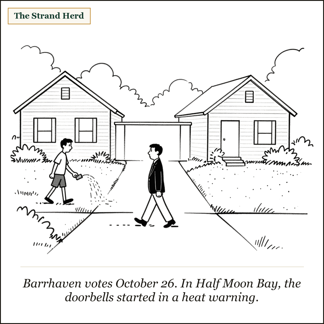 A cartoon of a man in a blazer walking up a suburban driveway in blazing sun while a homeowner in shorts waters the lawn and ignores him, two near-identical houses behind.