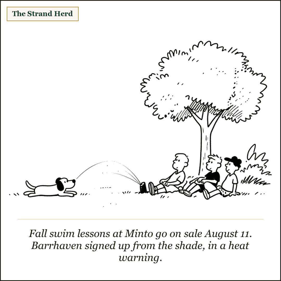 A cartoon family sprawled in the shade of a single backyard tree in blazing sun while a sprinkler waters the empty grass and the dog lies flat.