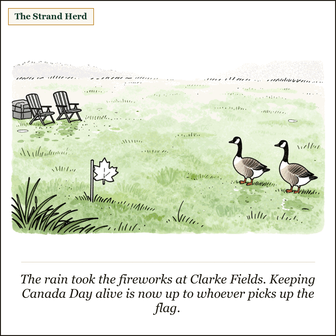 A loose ink-and-wash cartoon of an empty wet suburban park field after rain, a small maple-leaf flag stuck upright in the grass, a couple of folded lawn chairs and a tarp-covered crate off to one side, and two Canada geese standing on the grass under a grey overcast sky.