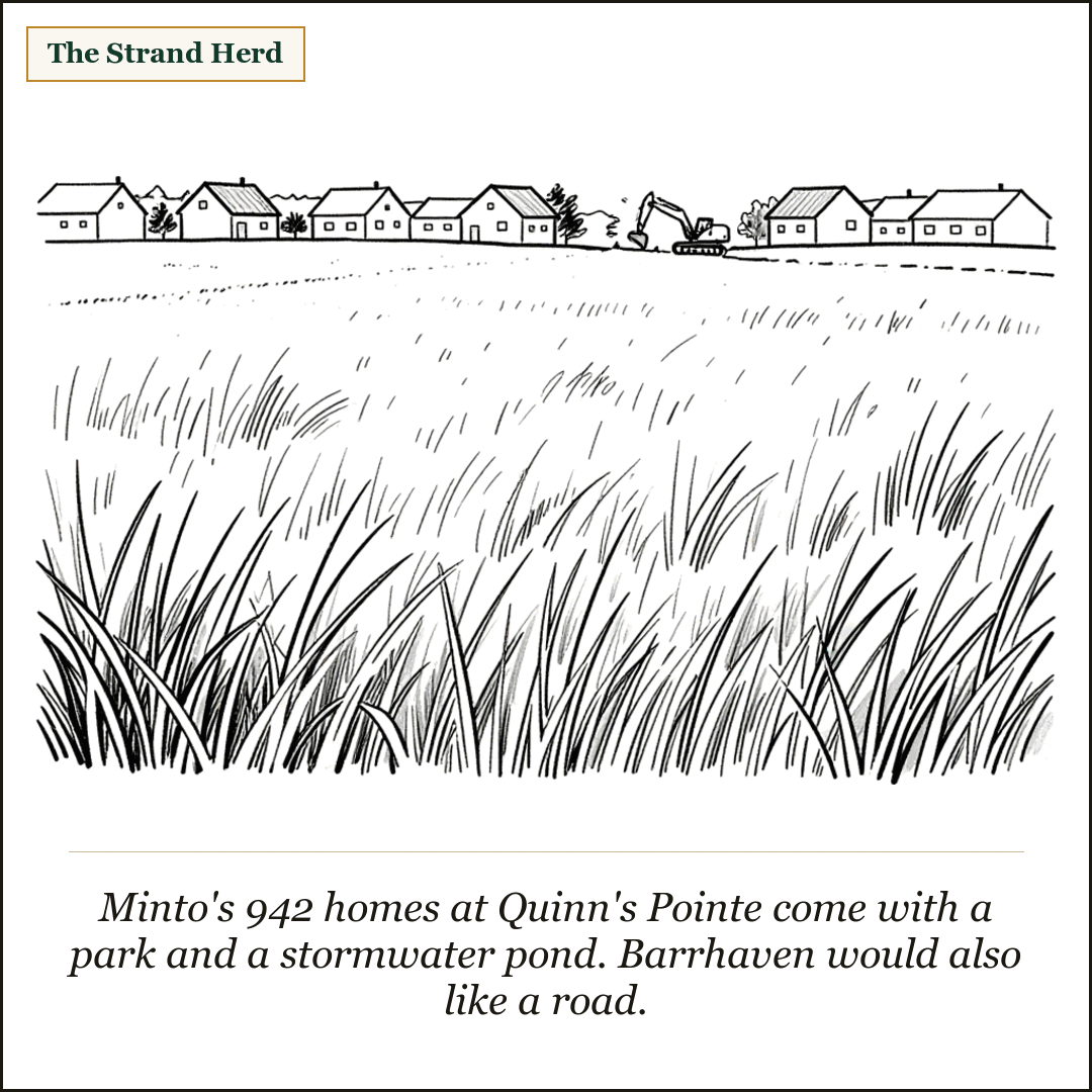 A loose black-ink cartoon of an empty field of tall grass at the edge of a Barrhaven subdivision, a row of new house rooftops along the far treeline and a single small excavator parked among them.