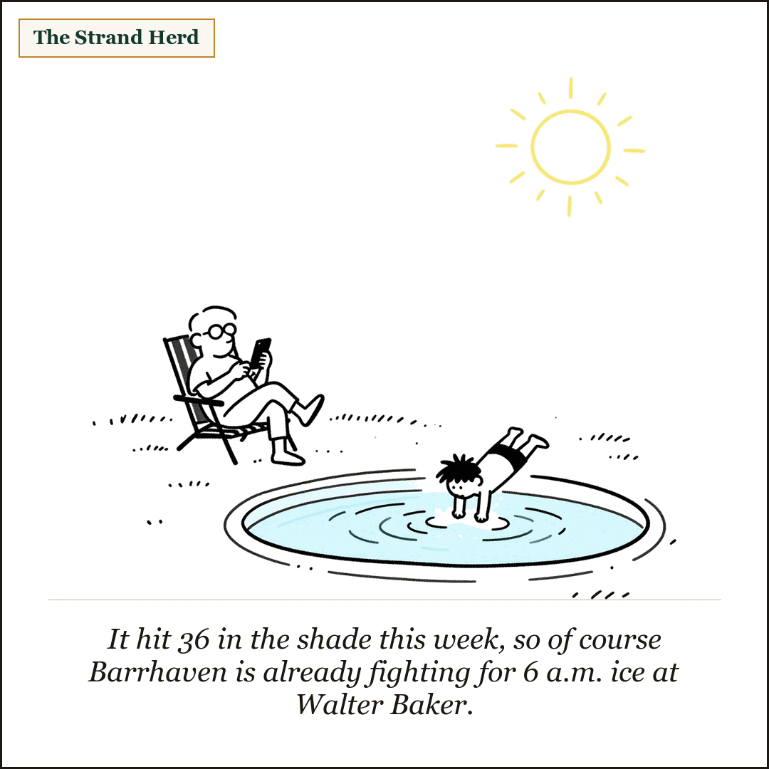 A wilted parent slumps in a shaded lawn chair squinting at a phone while a child cannonballs into a small backyard pool under a blazing sun.