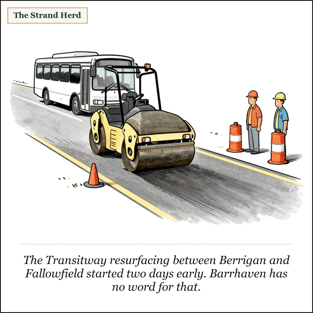 A road roller lays fresh asphalt on the empty Transitway while a city bus waits behind it and two workers stand by orange barrels.