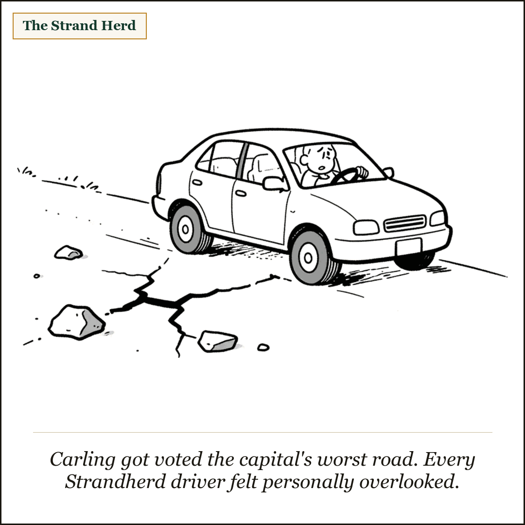 A frustrated driver grips the wheel of a small car bouncing over a cracked, potholed suburban road strewn with chunks of broken pavement. Caption: Carling got voted the capital's worst road. Every Strandherd driver felt personally overlooked.