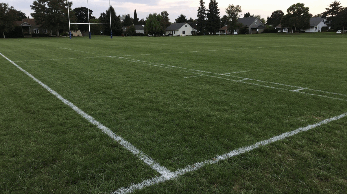 An empty rugby pitch at dusk, with white sideline and try-line markings, goalposts, and a row of suburban houses and trees along the far tree line.